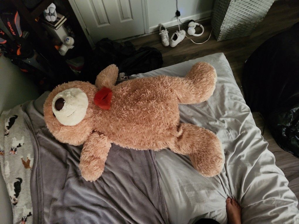 Big Teddy Bear