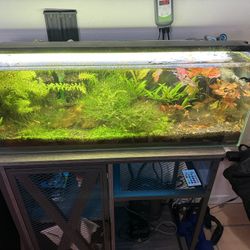 Aquarium 16 Gallon Rimless