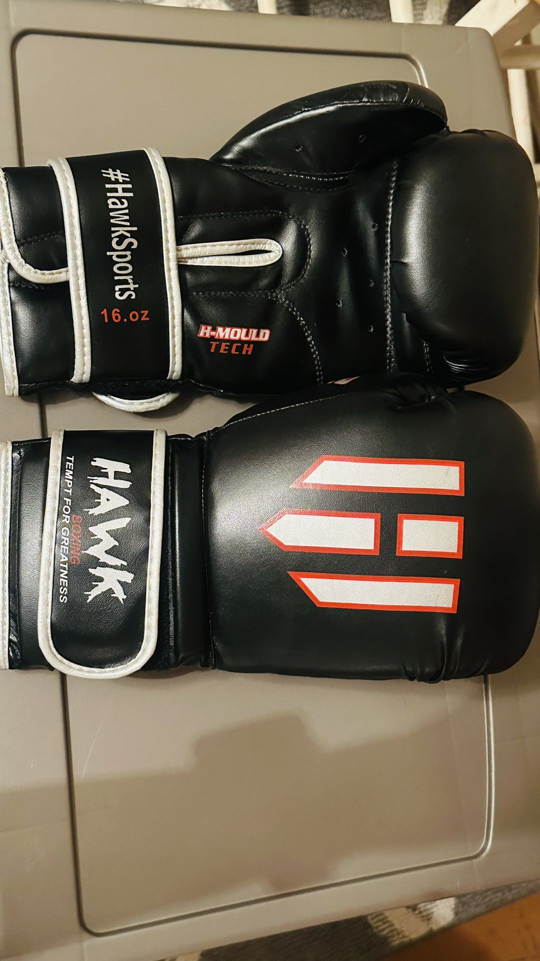 Adult Boxing 
