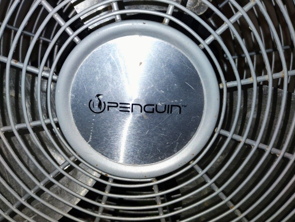 Fan, Stackable Shelf's, Ect