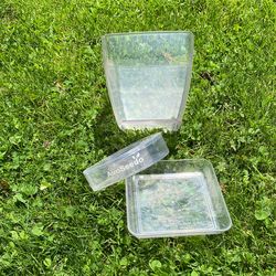 avocado Grower/ Planter