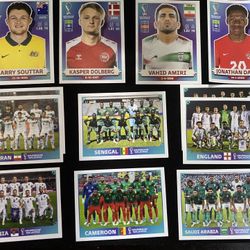 Fifa World Cup (Basic Parallels) 