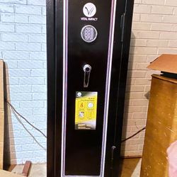  Gun Safe 