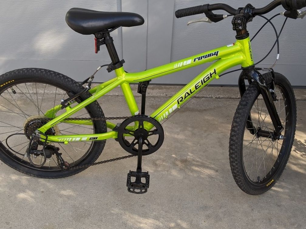 2015 Raleigh Rowdy 20 Inch Bike - Boy's