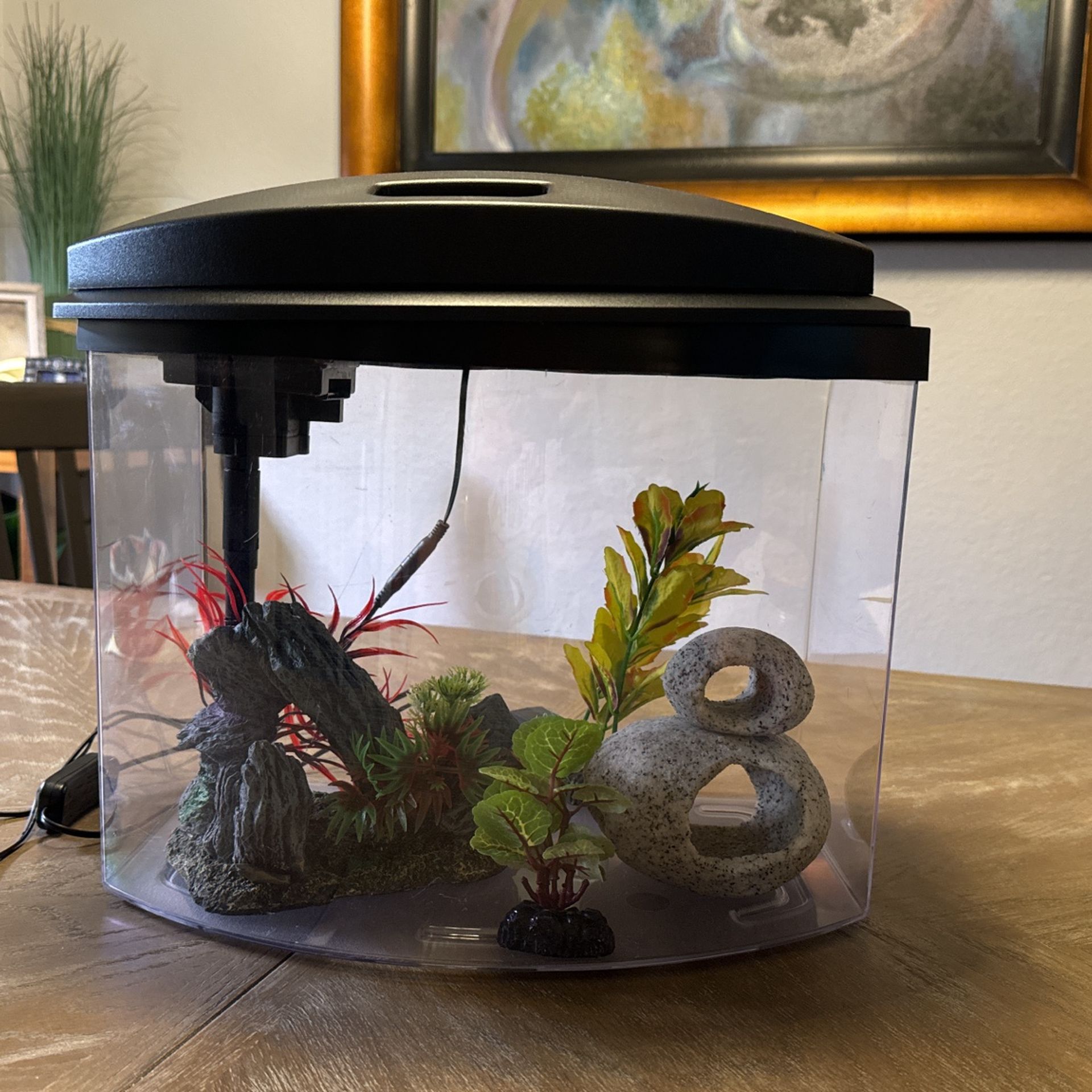 Aqueon 5 Gal Fish Tank