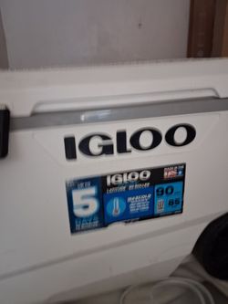 Igloo cooler