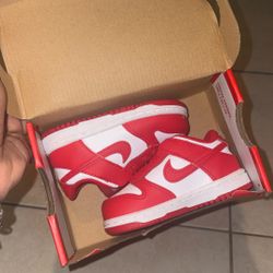 Toddler Nike Dunks