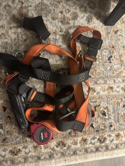 Harness
