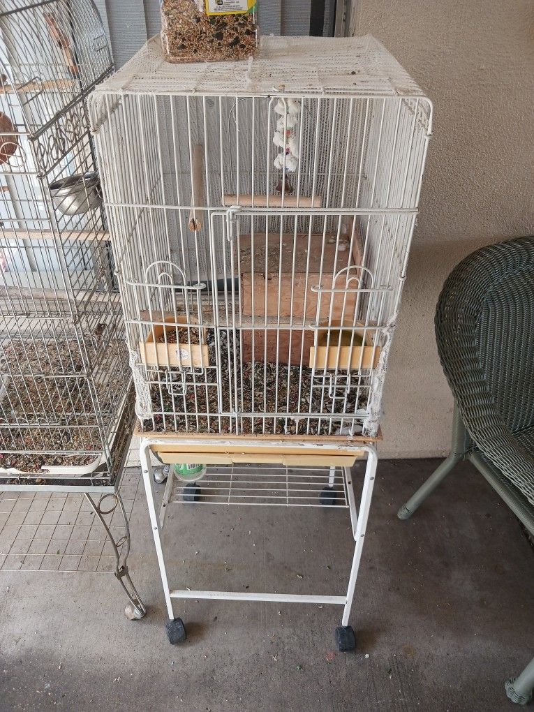 Bird Cage