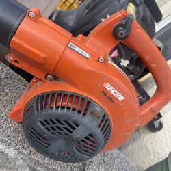 Echo Leaf Blower