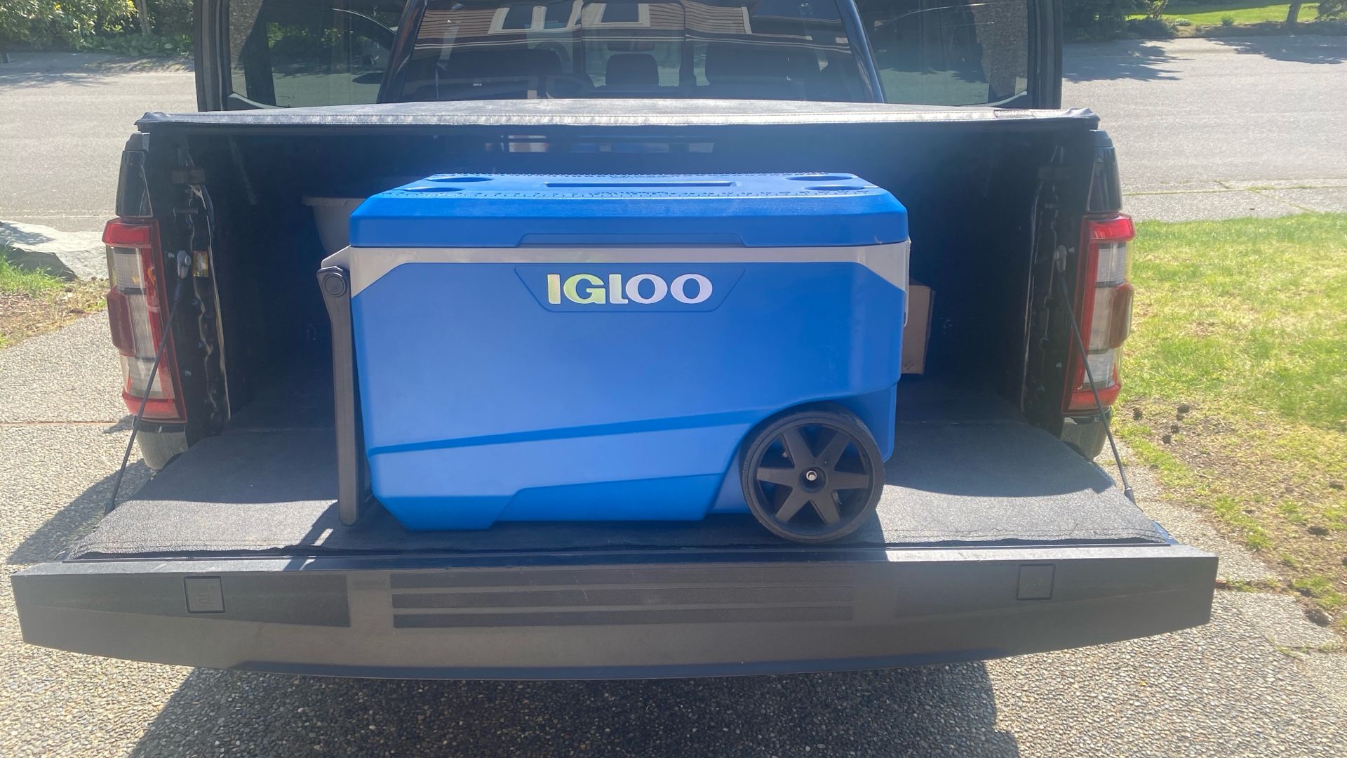 Igloo 72 Quart Cooler With Wheels