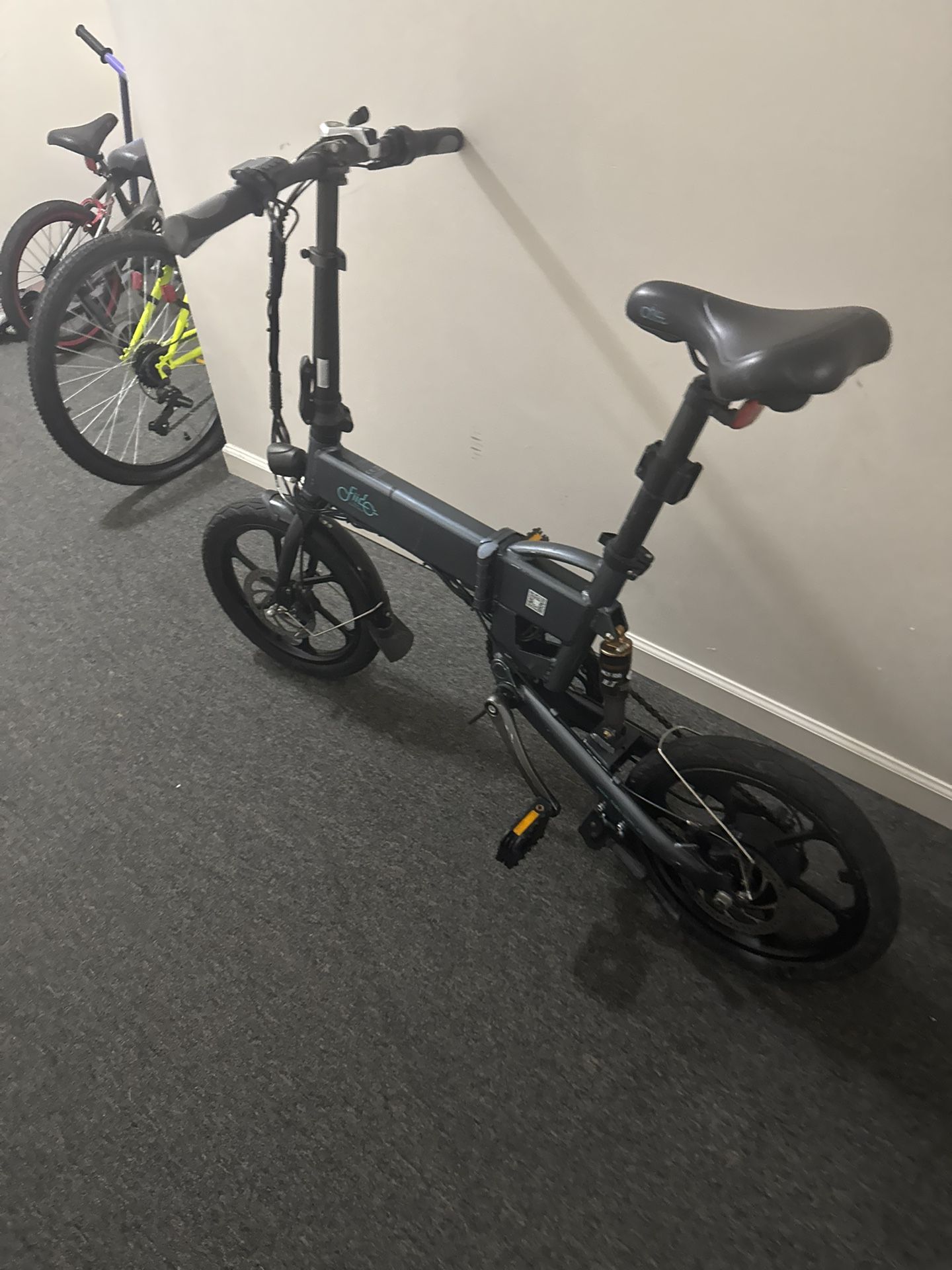 D2s Electric Bike