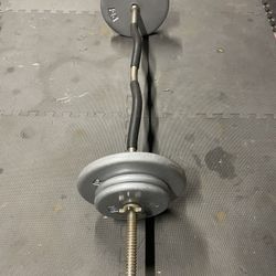 Weight Plates / Curl Bar.      70 Dollars 