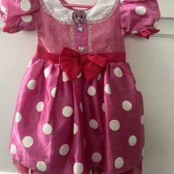 Minnie Mouse Costume