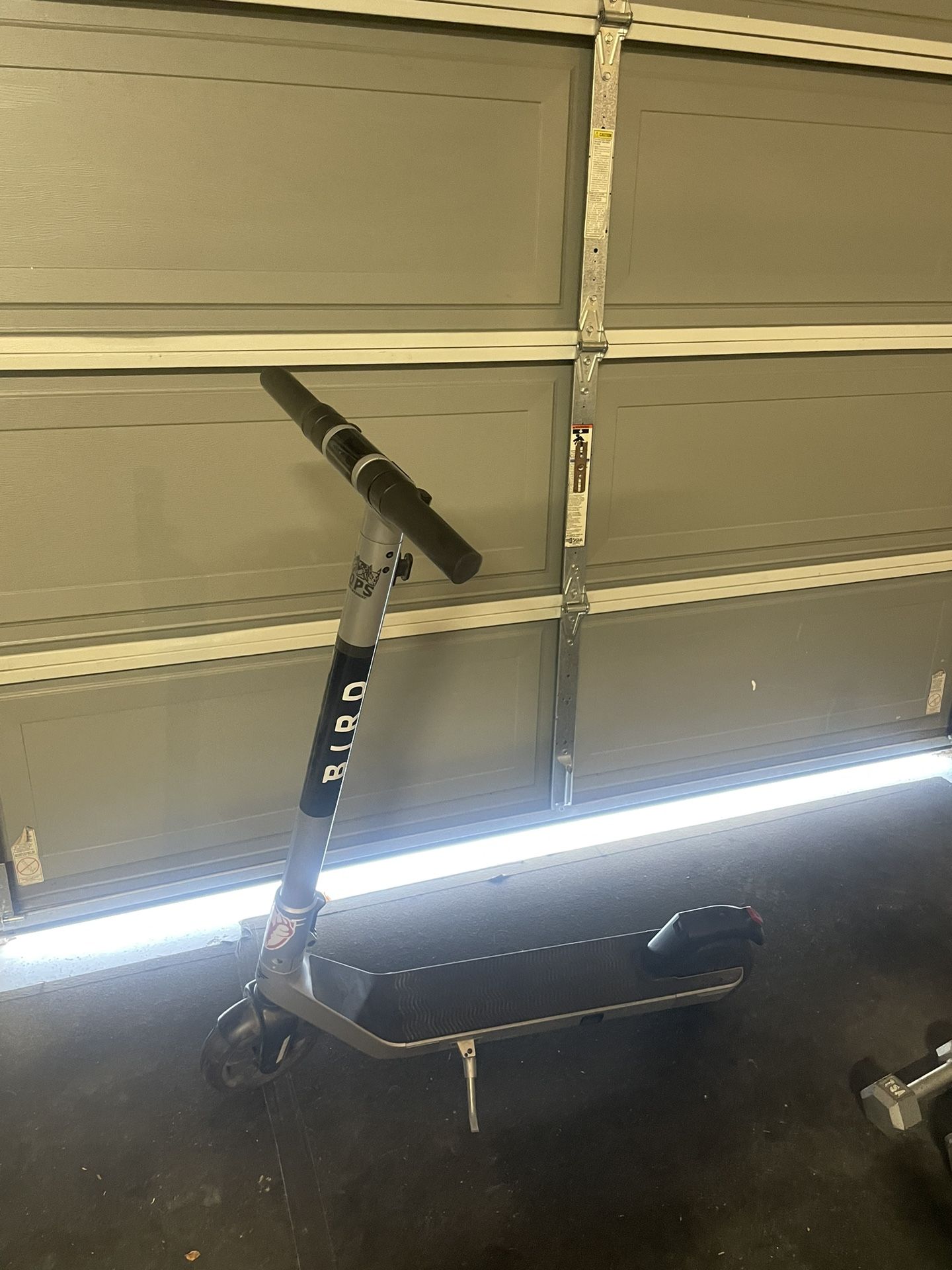 Bird Scooter