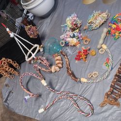 Several Bird Toys  Bird Bath. Juguetes  Para Pajaro 