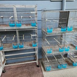 Bird Cages, Breeding Cages 