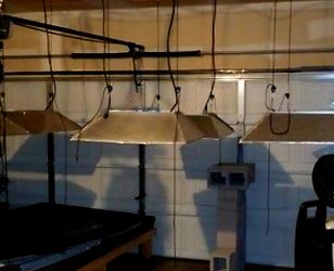 Grow Light