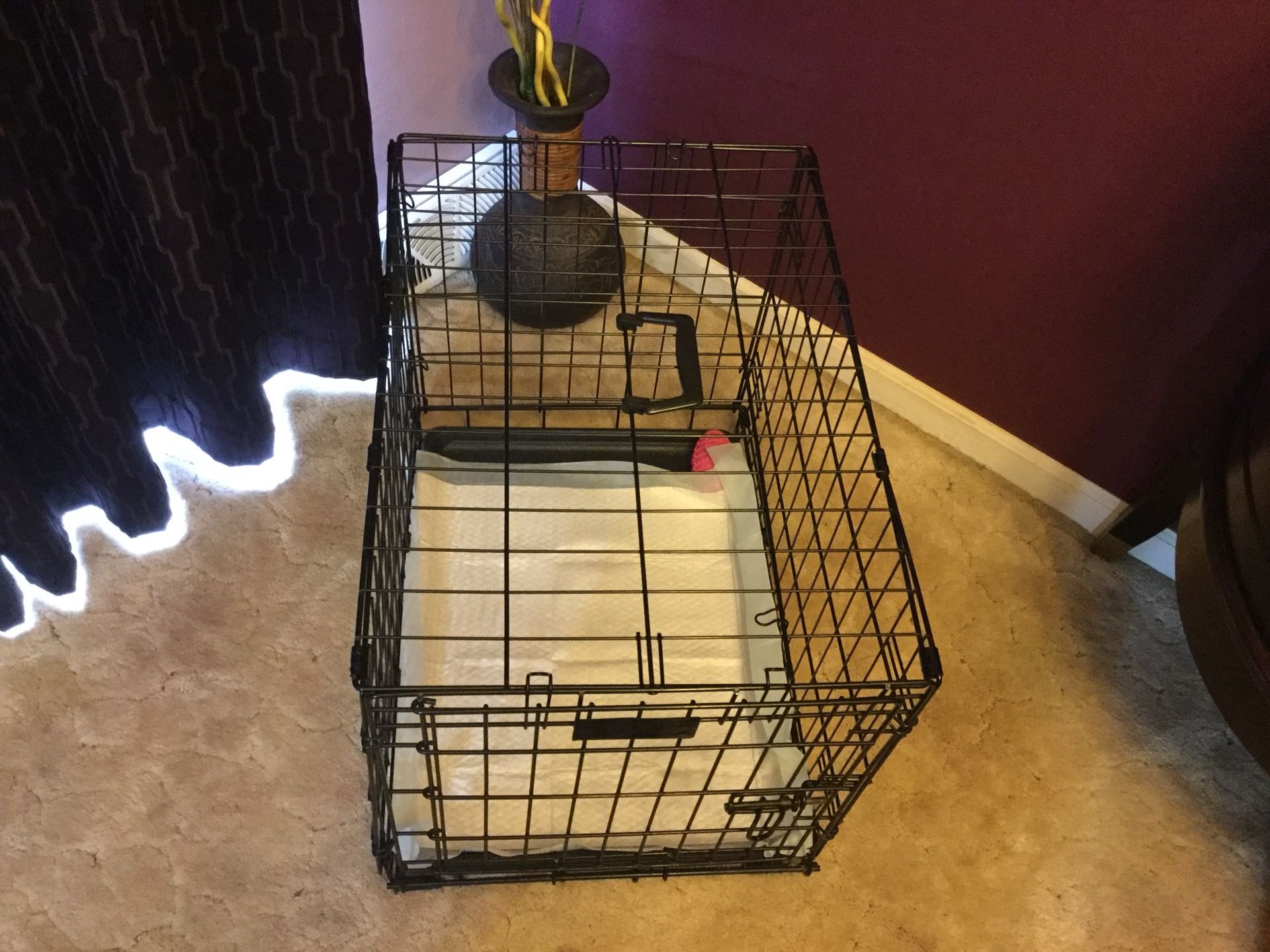 Collapsible Small dog crate