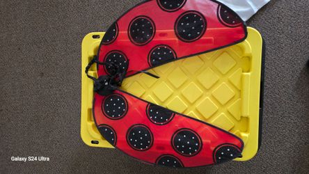 Kids Ladybug Costume Wings
