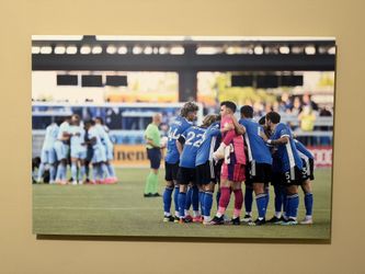 Large San Jose Earthquakes Prints