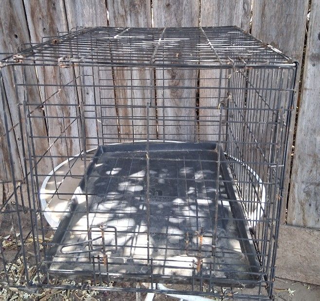 Medium Dog Crate