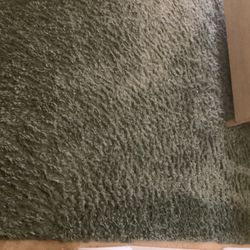 Sage Green Shag Carpet