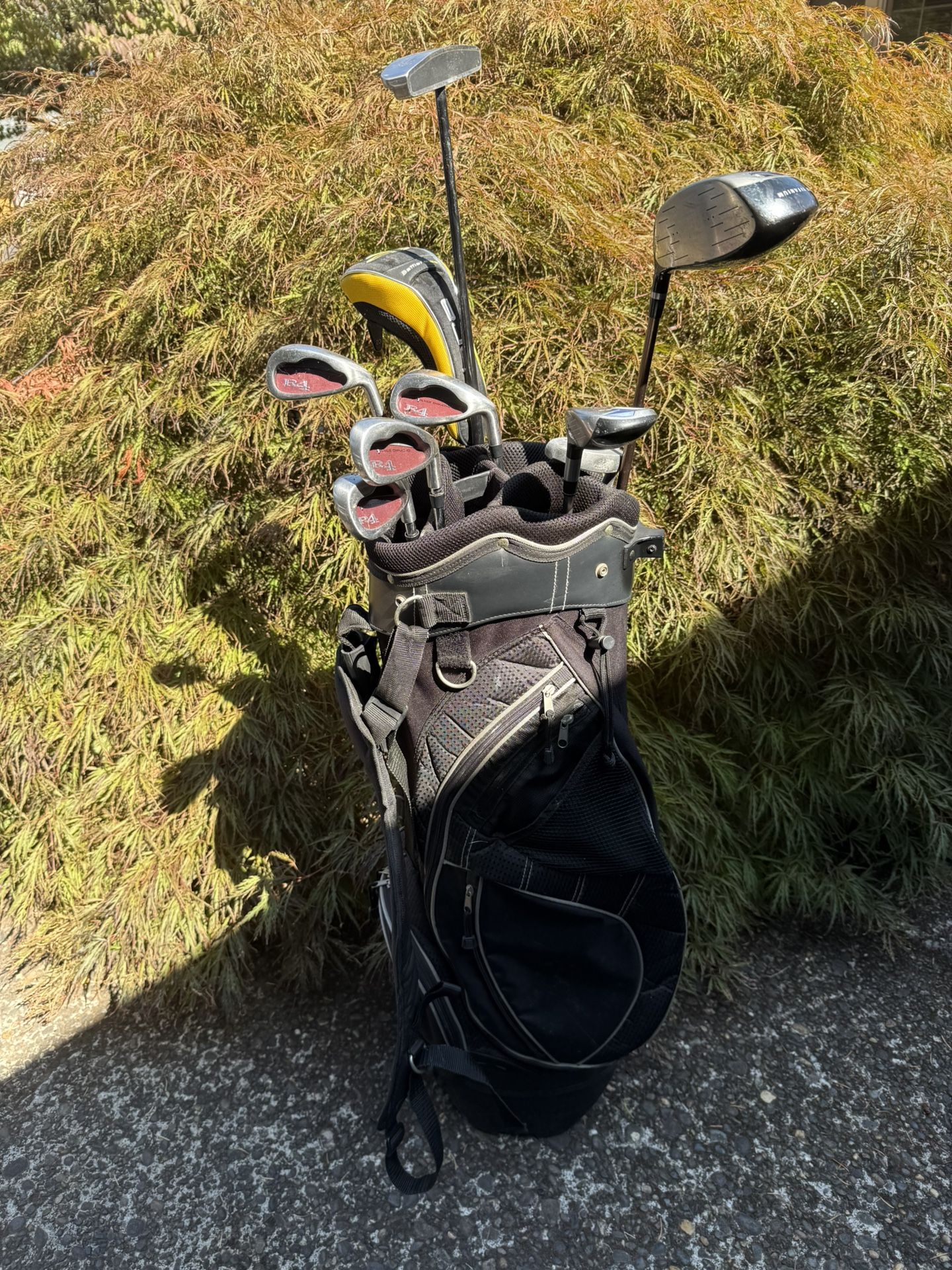 Golf Clubs/bag