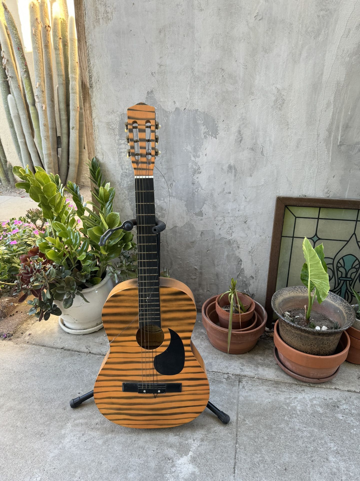Acoustic Tiger Guitar 