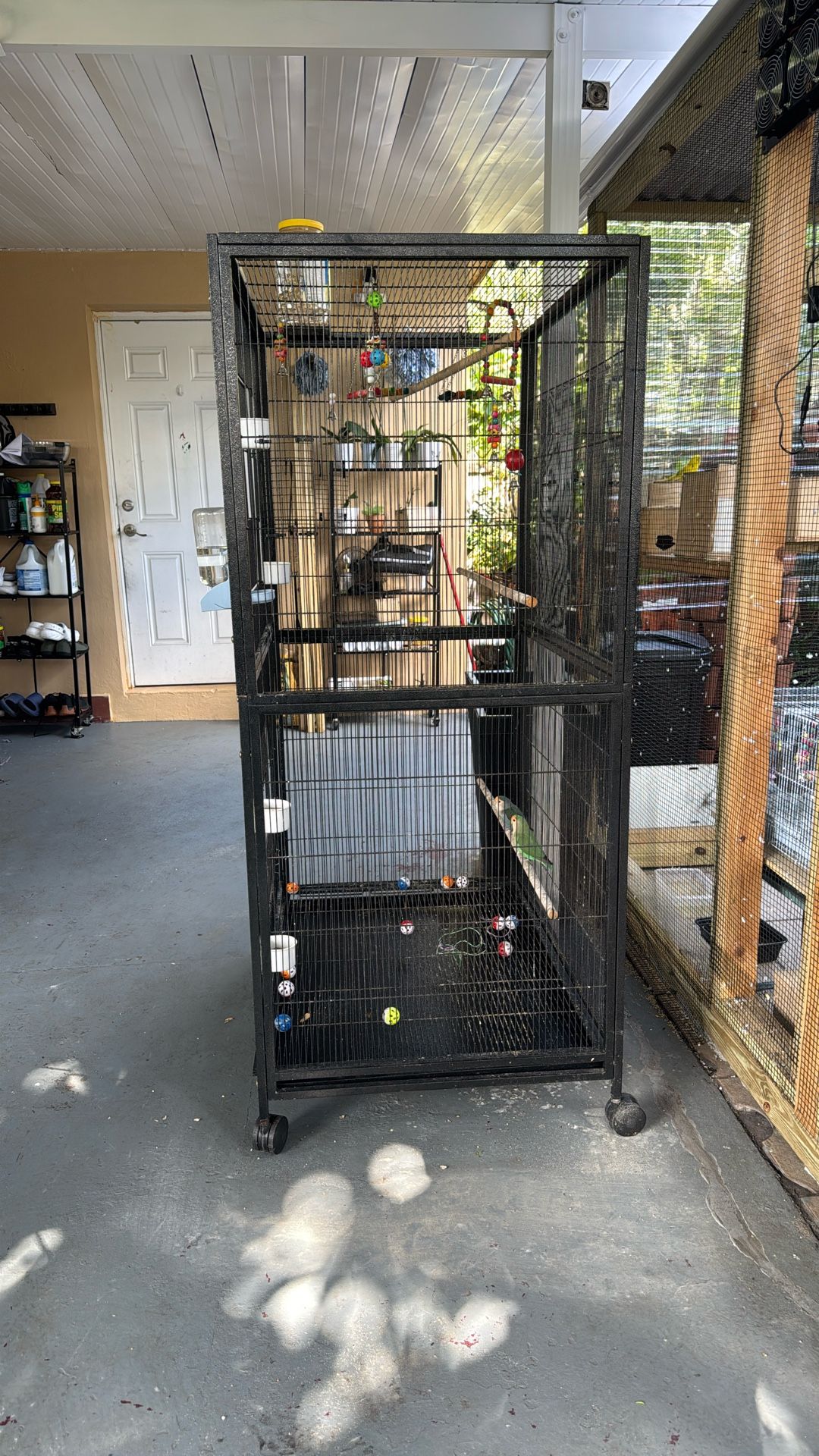 Big Bird Cage Great Conditions