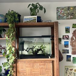 Fish Tank Setup!