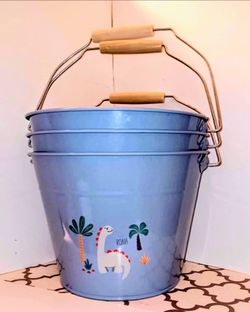 Kids Dinosaur Metal Bucket Set