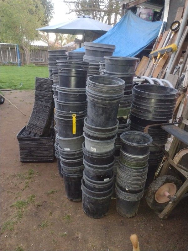 PLANT POTS
