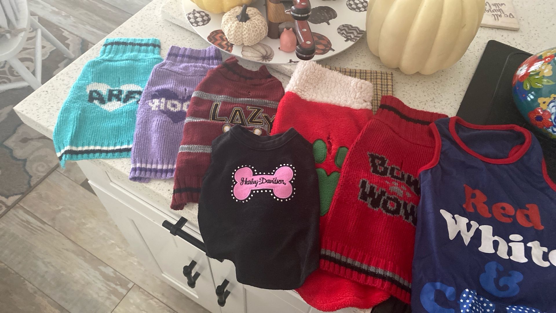 Doggie Sweaters /teeshirt