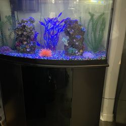 46 Gallon Bow Front Aquarium with Filter and Decorations 