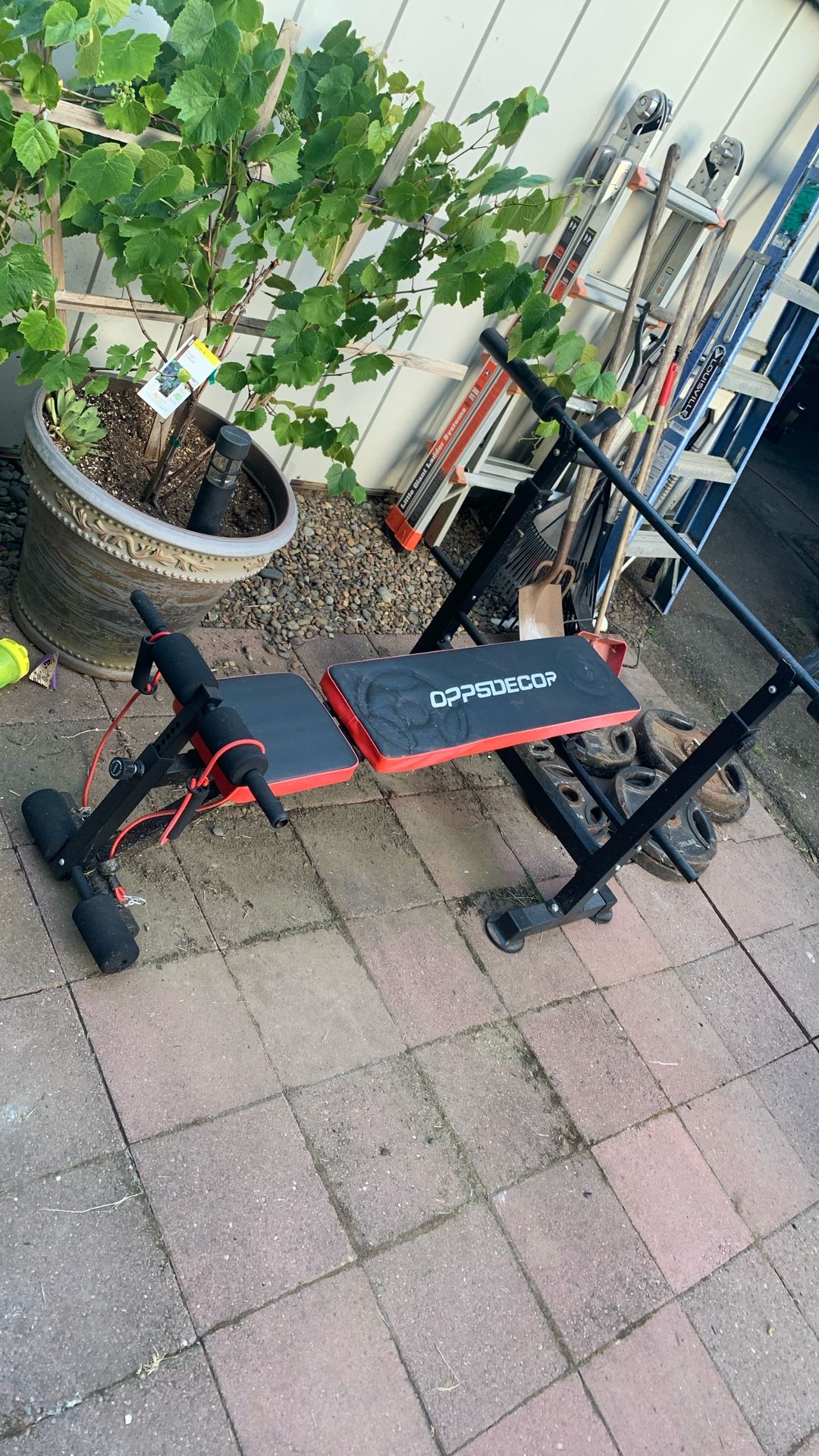 ADJUSTABLE BENCH PRESS /W WEIGHTS
