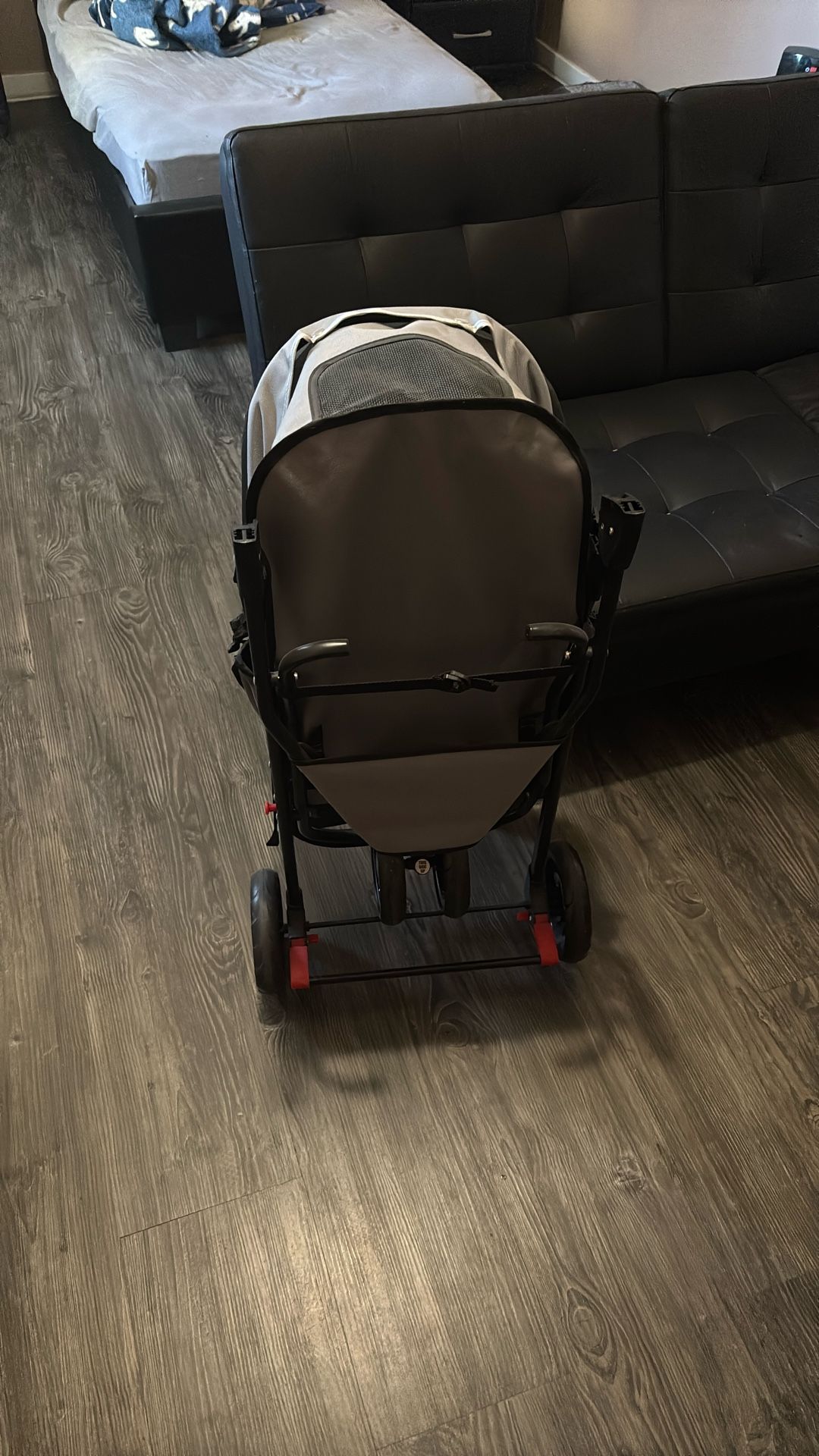 Cat Stroller