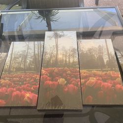 5 Pieces Canvas Tulip Picture Very Pretty $10