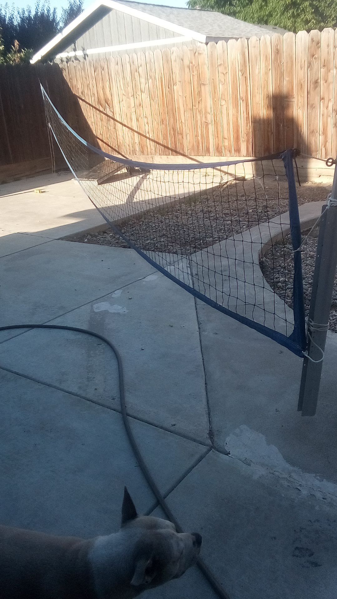 Volleyball met