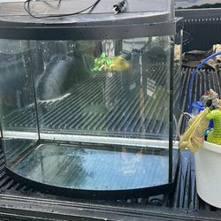 Fish Aquarium With Decorations