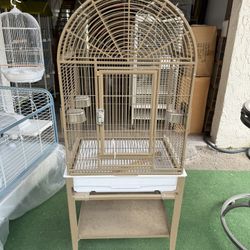 Bird Cage 