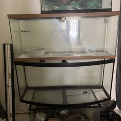 Fish Tank