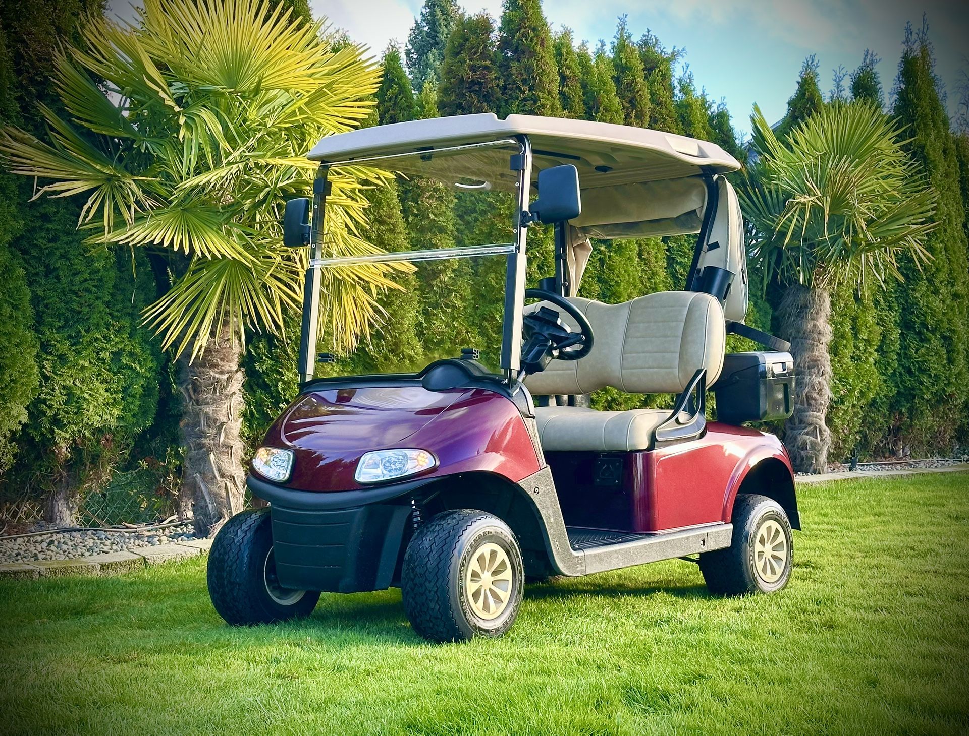2020 π EZGO RXV ELITE GOLF CART β³οΈ