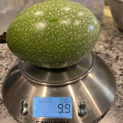 Passion Fruit  Plants 