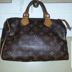 Louis Vuitton Speedy Bag  $900