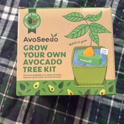 Grow Your Own Avocado Tree Kit 