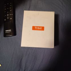 true wireless earbuds with