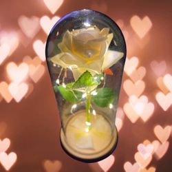 Beautiful lighted roses 4 Valentine's Day.