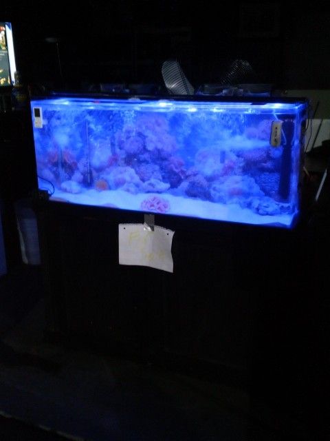 Fish Tank 60Gallon