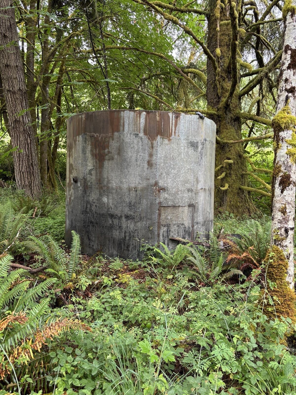 Free, Old Steel Water Tank For The Metal